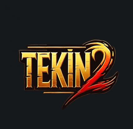 tekin2 avatar
