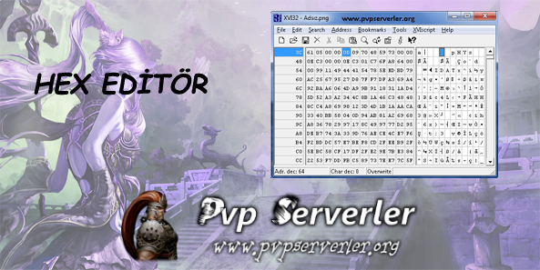 Metin2 Pvp Hex Editör Anlatımı