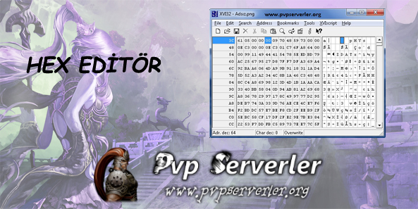 Metin2 Pvp Hex Editr Anlatm
