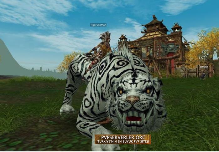 Silkroad online tiger girl